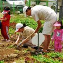 다둥이농장 이미지