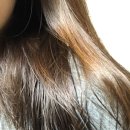 보고헤어 이미지