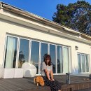 제주일상 이미지