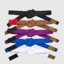 주짓수익스플로러 이미지