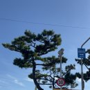 부산돼지국밥(서생) 이미지