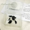 타르트옵티컬 이미지