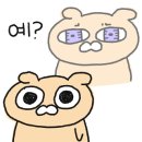 리트리버클럽 이미지