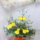 나바론종합상사