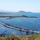 조천체육관 이미지