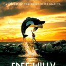free willy 이미지