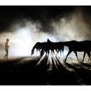 은상목장 이미지