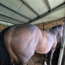 부마목장 이미지