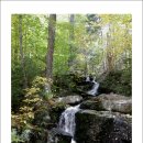 고원(주) 이미지