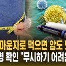 위고비 마운자로 먹으면 암도 낫는다?..수십만 명에서 확인 "무시하기 어려운 수치" (자막뉴스) / SBS 이미지