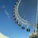 사평대로55길 125 | 8월 일상 기록_ 마냥 나쁜건 없어