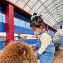 357 | 원주 알파카 카페, 아이랑 카페357 N회차 방문 후기