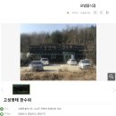 고성명태 한수위 이미지