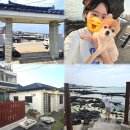 별채 | [제주 애견동반 숙소] 협재해변 0초컷 독채 펜션 협재 하얀집 별채 후기
