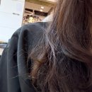 가림이 힐링 | 분당 복구 클리닉 미금역 미용실 추천 메이원 헤어 가림 디자이너