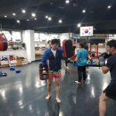 팀베스트 정심관(MMA) 이미지