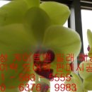 열쇠와구두센타