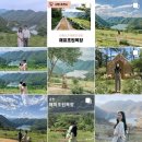 진규목장 | 진규랑 두 번째 여행 ep.1 :: 춘천 중도물레길, 명종닭갈비, 해피초원목장, 에어비엔비