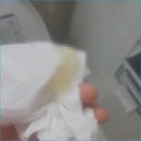 조혜진여성의원 이미지