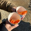 일도목장 | 주말 드라이브 코스 추천, 가평 양떼목장 방문 후기/ 클라우드힐 카페와 무료 썰매까지