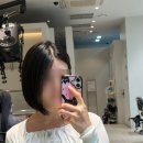 용산/신용산 | 퍼스널컨설팅미용실 톤트헤어_이루다 디자이너 추천 커트 유목민 정착