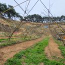 수광농장 이미지