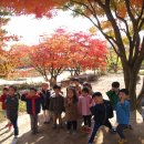 숲속이레어린이집 이미지