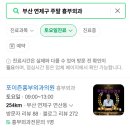 포이즌흉부외과의원 이미지