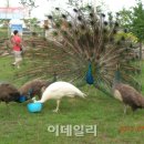 캠핑아웃도어 이미지