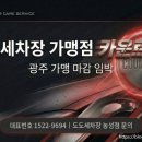 용봉손세차