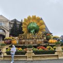 골든카서비스 이미지