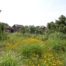 하천리-5 이미지