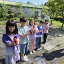 흥천초등학교 이미지