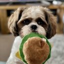 참동물의료센터 이미지