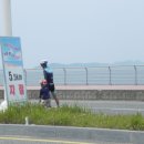 고양파주인라인