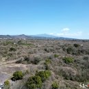 서광동리 이미지