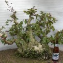 김주일농장 이미지