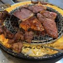 신마포갈매기까치 이미지