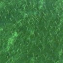 양화축산 이미지