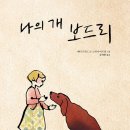 보드리 이미지