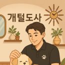 개털도사 이미지