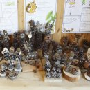 청태산 자연속으로 이미지