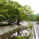 담양도래수마을 이미지