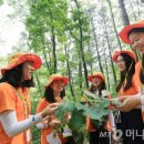 달그린캠프 이미지