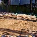 안드레아유치원 이미지