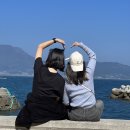 팜프라촌 이미지