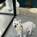 환해지개 네이버블로그