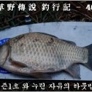 자유낚시 Daum카페