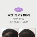 빈헤어 - 천안시 서북구 신향촌길 54 | 빈헤어