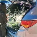 사파동420 | [창원 성산구 꽃집] 트렁크프로포즈 잊지 못할 이벤트로 추천드립니다 ♥